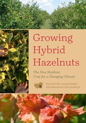 Growing Hybrid Hazelnuts: The New Resilient Crop for a Changing Climate Growing Hybrid Hazelnuts: The New Resilient Crop for a Changing Climate von Chelsea Green Publishing Company
