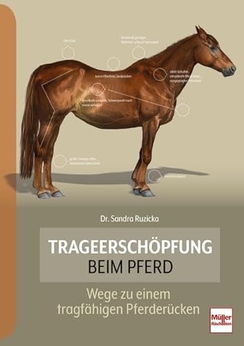 Trageerschöpfung beim Pferd: Wege zu einem tragfähigen Pferderücken von Müller Rüschlikon