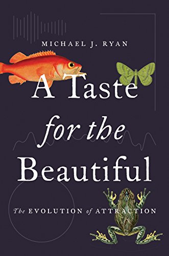 A Taste for the Beautiful: The Evolution of Attraction von Princeton University Press