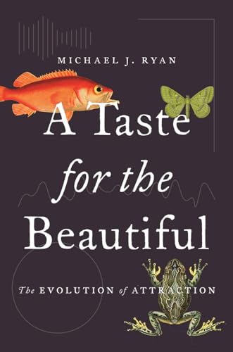 A Taste for the Beautiful: The Evolution of Attraction von Princeton University Press
