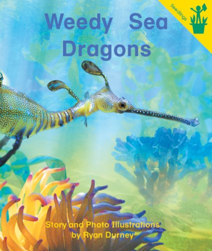 Early Reader: Weedy Sea Dragons