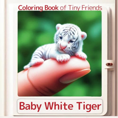 Baby White Tiger (Coloring Book of Tiny Friends, Band 1) von Independently published