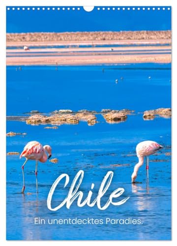 Chile - Ein unentdecktes Paradies. (Wandkalender 2025 DIN A3 hoch), CALVENDO Monatskalender: Chile! Wo könnte es nur fantastischer sein als in Chile? von CALVENDO