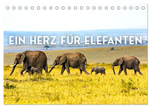 Ein Herz für Elefanten (Tischkalender 2025 DIN A5 quer), CALVENDO Monatskalender