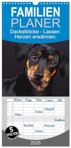 Familienplaner 2025 - Dackelblicke - Lassen Herzen erwärmen. mit 5 Spalten (Wandkalender, 21 cm x 45 cm), CALVENDO