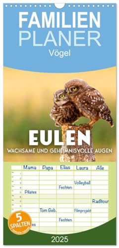 Familienplaner 2025 - Eulen - Wachsame und geheimnisvolle Augen mit 5 Spalten (Wandkalender, 21 cm x 45 cm), CALVENDO