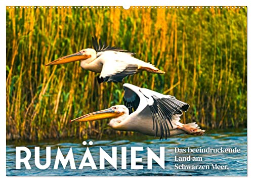 Rumänien - Das beeindruckende Land am Schwarzen Meer. (Wandkalender 2025 DIN A2 quer), CALVENDO Monatskalender