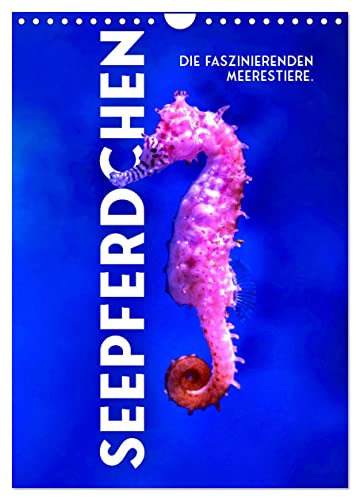 Seepferdchen - Die faszinierende Meerestiere. (Wandkalender 2025 DIN A4 hoch), CALVENDO Monatskalender von CALVENDO