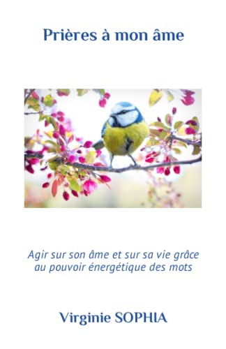 Prières à mon âme: Agir sur son âme et sur sa vie grâce au pouvoir énergétique des mots von Independently published