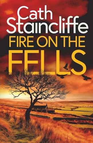 FIRE ON THE FELLS an absolutely gripping British crime thriller full of twists (Detectives Donovan & Young, Band 2) von Joffe Books