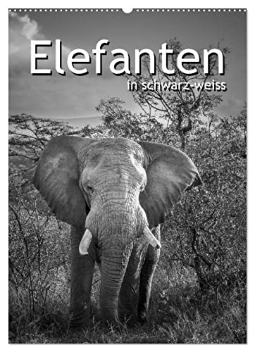 Elefanten in schwarz-weiss (Wandkalender 2023 DIN A2 hoch): Die sanften Dickhäuter Afrikas (Monatskalender, 14 Seiten ) (CALVENDO Tiere) von CALVENDO