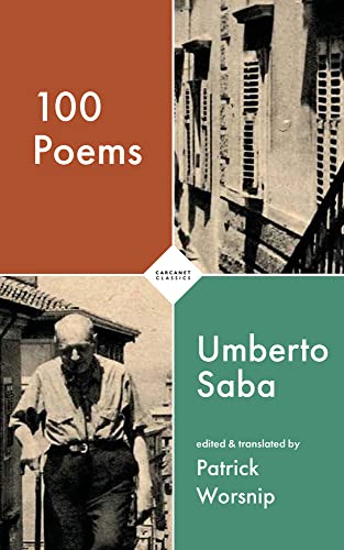 100 Poems (Carcanet Classics) von Carcanet Classics