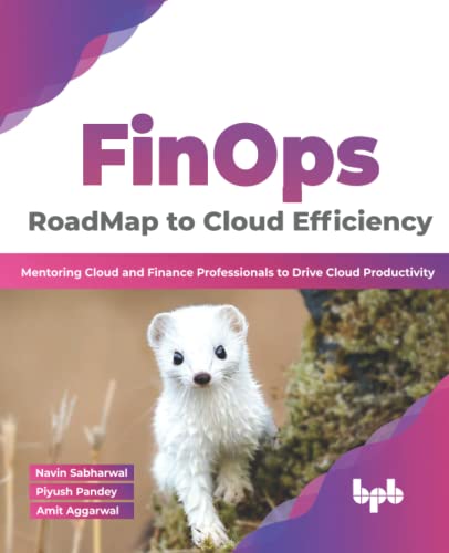 FinOps : RoadMap to Cloud Efficiency: Mentoring Cloud and Finance Professionals to Drive Cloud Productivity (English Edition)