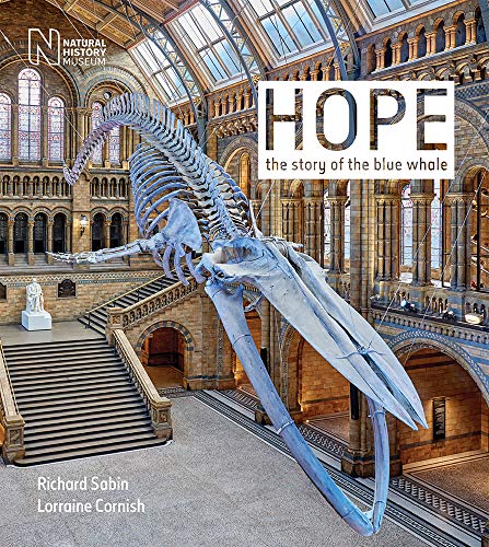 Hope: The Story of the Blue Whale von Natural History Museum