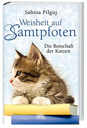 Weisheit auf Samtpfoten: Die Botschaft der Katzen