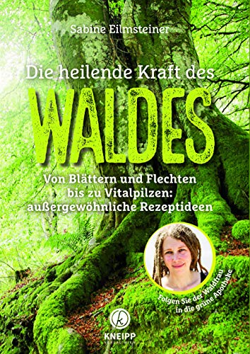 Die heilende Kraft des Waldes: Von Blättern und Flechten bis zu Vitalpilzen: außergewöhnliche Rezeptideen