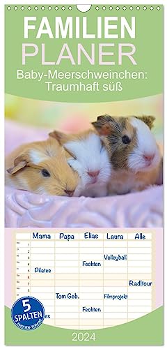 Familienplaner 2024 - Familienplaner BABY Meerschweinchen Traumhaft süß mit 5 Spalten (Wandkalender, 21 cm x 45 cm) CALVENDO