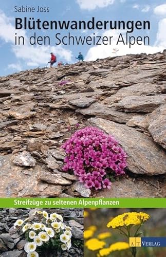 Blütenwanderungen in den Schweizer Alpen: Streifzüge zu seltenen Alpenpflanzen