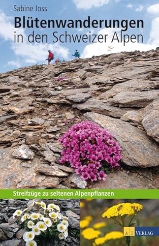 Blütenwanderungen in den Schweizer Alpen: Streifzüge zu seltenen Alpenpflanzen