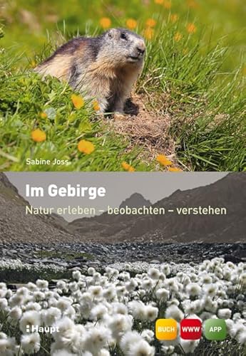 Im Gebirge: Natur erleben - beobachten - verstehen von Haupt