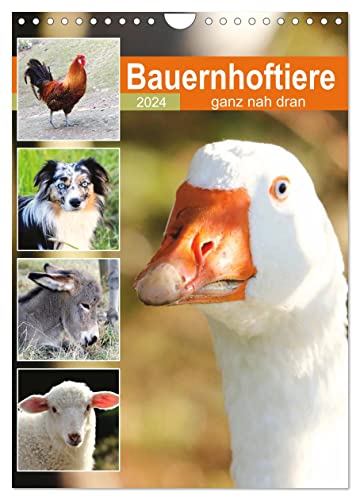 Bauernhoftiere, ganz nah dran (Wandkalender 2024 DIN A4 hoch), CALVENDO Monatskalender von CALVENDO
