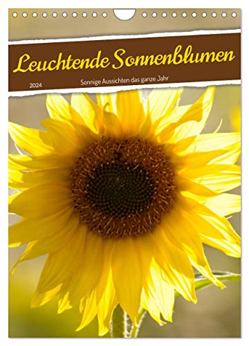 Leuchtende Sonnenblumen, sonnige Aussichten das ganze Jahr (Wandkalender 2024 DIN A4 hoch), CALVENDO Monatskalender von CALVENDO