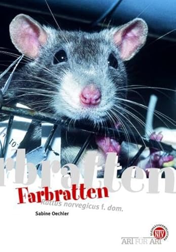 Farbratten: Rattus norvegicus f. dom.: Art für Art (Buchreihe Art für Art Kleinsäuger)