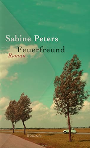 Feuerfreund: Roman von Wallstein Verlag GmbH