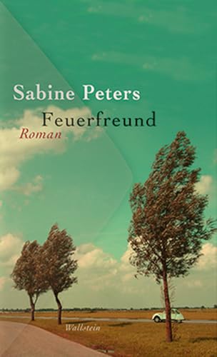 Feuerfreund: Roman