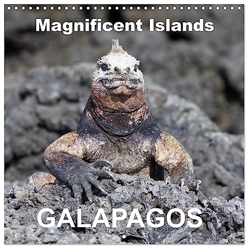 Galapagos magnificent islands (Wandkalender 2024 30x30 cm 30x60 cm geöffnet) CALVENDO Broschürenkalender mit Monatskalendarium zum Eintragen von CALVENDO