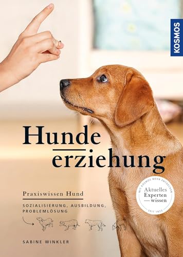 Hundeerziehung: Sozialisierung, Ausbildung, Problemlösung