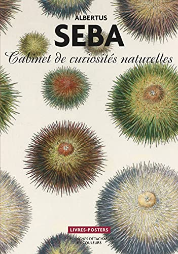Albertus Seba - Cabinet de curiosité Livres posters - 22 planches détachables en couleurs: Cabinet de curiosités naturelles, 22 planches détachables en couleurs