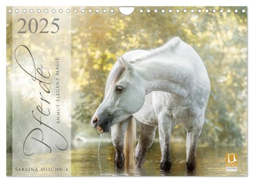 Pferde - Anmut, Eleganz, Magie (Wandkalender 2025 DIN A4 quer), CALVENDO Monatskalender: Lassen Sie sich entführen in die faszinierende Welt der Pferde von CALVENDO