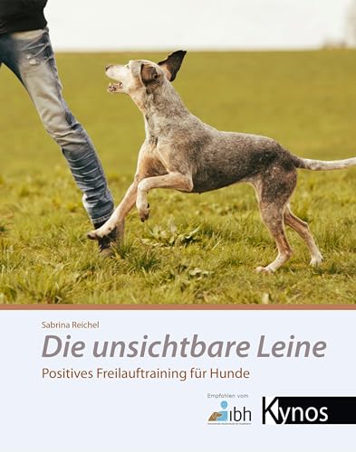 Die unsichtbare Leine: Positives Freilauftraining für Hunde