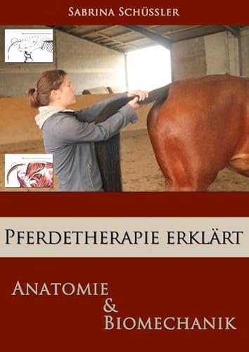 Pferdetherapie erklärt: Anatomie & Biomechanik von TWENTYSIX