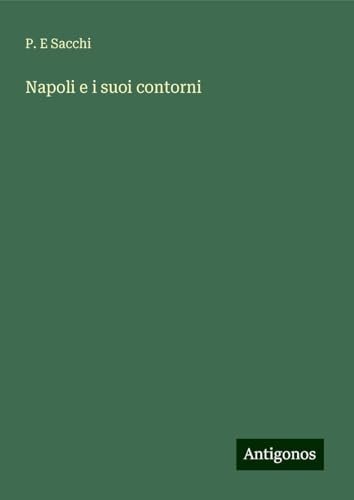 Napoli e i suoi contorni von Antigonos Verlag