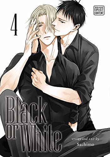 Black or White, Vol. 4 (BLACK OR WHITE GN) von Viz LLC