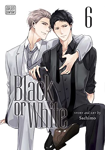 BLACK OR WHITE GN VOL 06: Volume 6 von Sublime