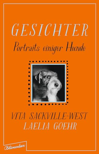 Gesichter: Portraits einiger Hunde