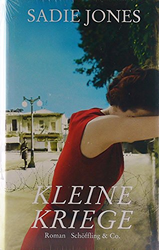 Kleine Kriege: Roman