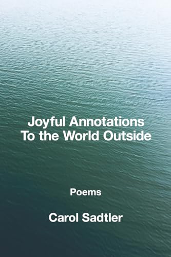 Joyful Annotations to the World Outside von Kelsay Books