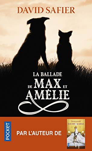 La Ballade de Max et Amélie von POCKET