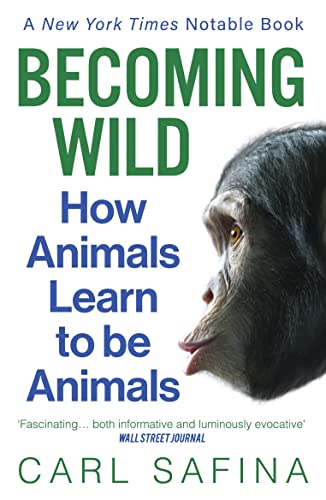 Becoming Wild: How Animals Learn to be Animals von Oneworld Publications