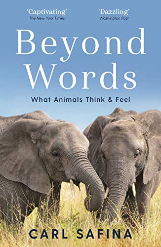 Beyond Words: What Animals Think and Feel von Souvenir Press