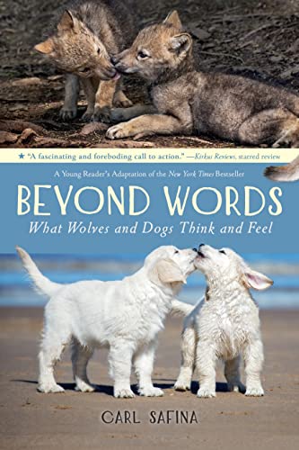 Beyond Words: What Wolves and Dogs Think and Feel (A Young Reader: Young Reader's Adaptation von Square Fish