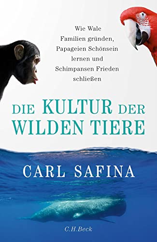 Die Kultur der wilden Tiere: Wie Wale Familien gründen, Papageien Schönsein lernen und Schimpansen Frieden schließen von C.H.Beck