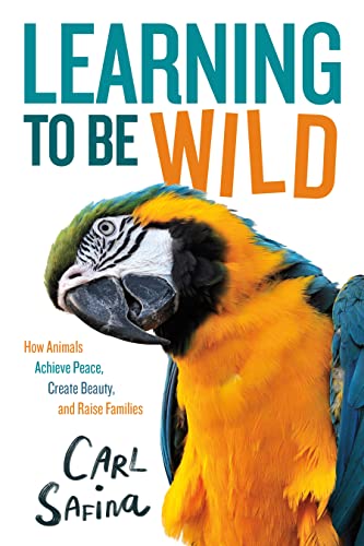 Learning to Be Wild: How Animals Achieve Peace, Create Beauty, and Raise Families: a Young Reader's Adaptation