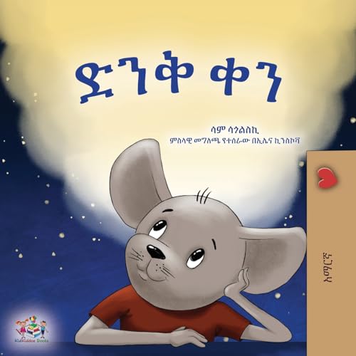 A Wonderful Day (Amharic Book for Children) (Amharic Bedtime Collection) von KidKiddos Books Ltd.