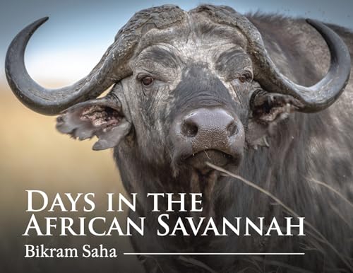Days in the African Savannah Days in the African Savannah von Austin Macauley Publishers LLC