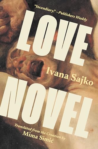 Love Novel (Biblioasis International Translation, 44) von Biblioasis
